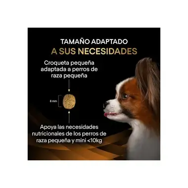 alimento