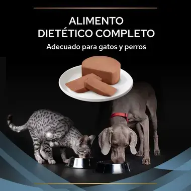 dieta