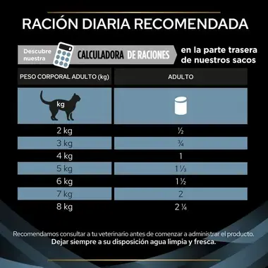 recomendacion