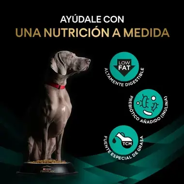 nutricion