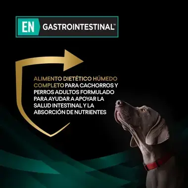 informacion