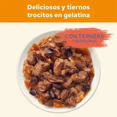 Trocitos Cat Chow en gelatina con ternera y berenjena servidos en un cuenco.