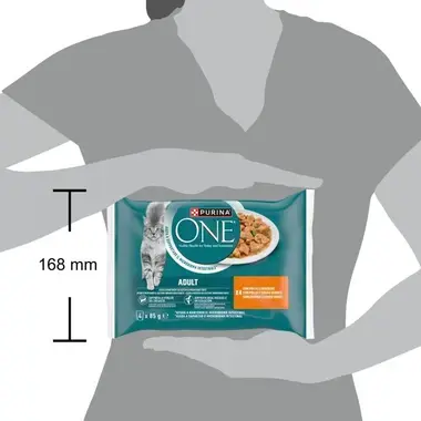 Pack Purina One Adult sostenido por una persona; se indica altura de 168 mm.
