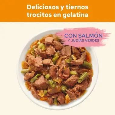 Trocitos Cat Chow en gelatina con salmón y judías verdes servidos en un cuenco.