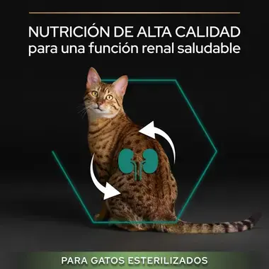 Nutrición de alta calidad para una función renal saludable