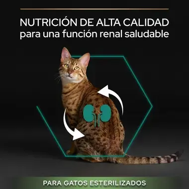 Gato con icono de riñones y mensaje de nutrición de alta calidad para una función renal saludable.