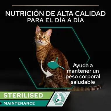 Gato Pro Plan Sterilised Maintenance con mensaje de nutrición diaria y ayuda al peso saludable.