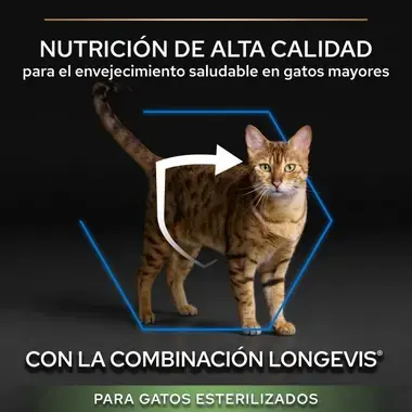 Gato con mensaje de nutrición de alta calidad para un envejecimiento saludable con LONGEVIS.