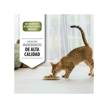 Gato comiendo pienso con mensaje de ingredientes de alta calidad y sin colorantes ni aromatizantes añadidos.