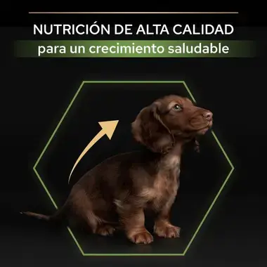 Nutrición de calidad para un crecimiento saludable