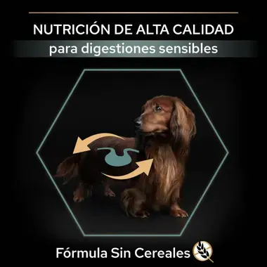 Nutrición de alta calidad
