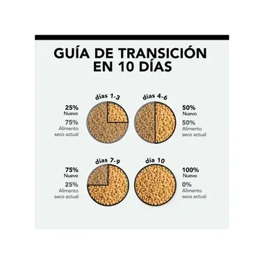 Guía de transición en 10 días para introducir progresivamente el nuevo alimento seco del gato.