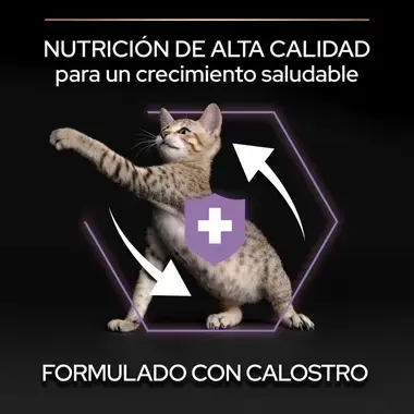 Gatito con mensaje de nutrición de alta calidad para un crecimiento saludable con calostro.