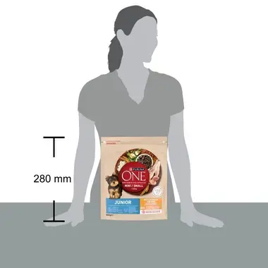 Bolsa Purina One Junior junto a silueta de persona; se indica altura de 280 mm.