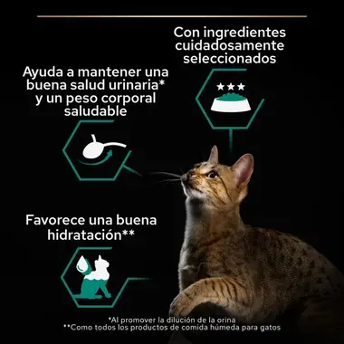 Gato con beneficios Pro Plan: salud urinaria, hidratación, peso saludable e ingredientes seleccionados.