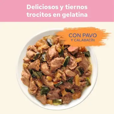 Trocitos Cat Chow en gelatina con pavo y calabacín servidos en un cuenco.