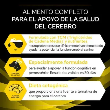 Beneficios de Purina Pro Plan Neurocare para apoyar la función cerebral y cognitiva del perro