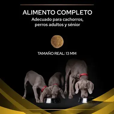 Purina Pro Plan Joint Mobility para cachorros, perros adultos y sénior, con croquetas de 13 mm