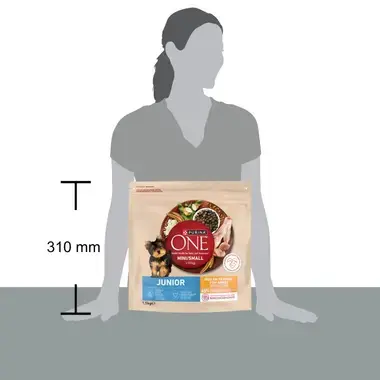 Tamaño del saco de Purina ONE Mini/Small Junior, 310 mm de altura