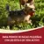 PURINA® ONE® Mini Perro Active húmedo Buey y Pato en Salsa Beneficios