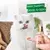 PURINA® GOURMET® NATURE'S CREATIONS Exquisito Puré Snack Liquido con Salmón y Zanahoria Momento de consumo
