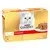 PURINA® GOURMET® GOLD Fondant Multipack sabores Vista Frontal