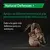 PRO PLAN® Natural Defences Suplemento para Gatos en Polvo