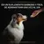 PRO PLAN® Natural Defences Suplemento para Perros en Tabletas