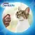 Gato comiendo snack