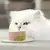 Gato blanco olfateando una porción de mousse Gourmet Gold servida en un plato.