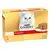 Caja Purina Gourmet Gold Fondant 12 x 85 g con gato blanco y receta servida en plato.
