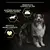 Perro junto a 3 iconos