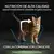Gato con mensaje de nutrición de alta calidad para un envejecimiento saludable con LONGEVIS.