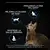 Gato mirando hacia arriba junto a 3 iconos