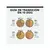 Guía de transición en 10 días para introducir progresivamente el nuevo alimento seco del gato.
