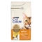 PURINA® CAT CHOW® Adulto Pollo Vista Frontal