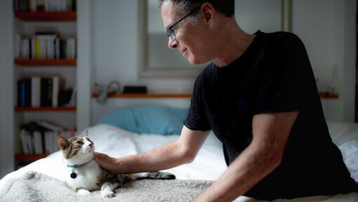 Dueño acariciando a su gato