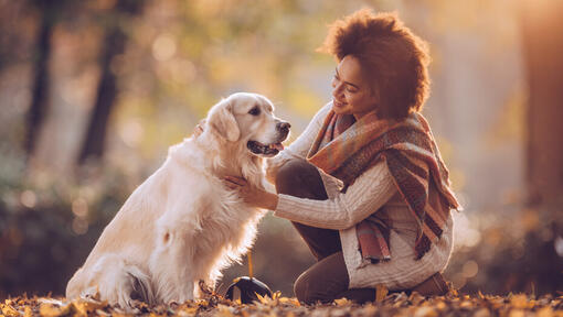 Mujeres con un Golden Retriever en el parque