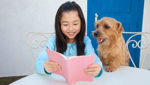 Terrier de Norfolk sentado junto a una niña