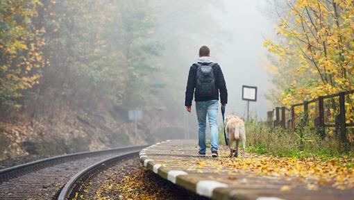 Hombre caminando por una plataforma con un Labrador