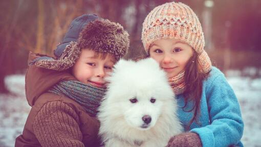 Spitz Japonés con dos niños