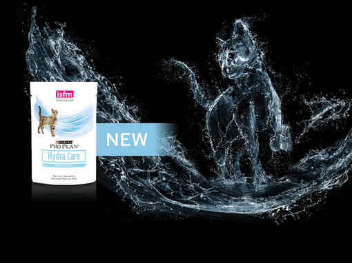 Gato con producto Purina® Pro Plan® Hydracare