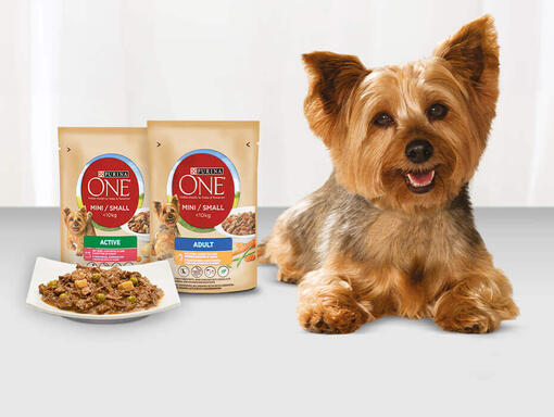 Purina One Mini