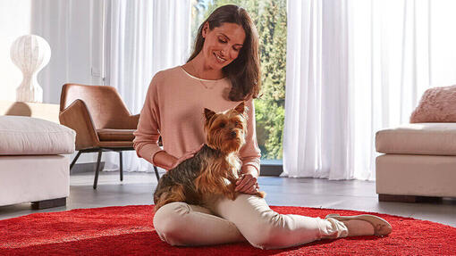 Purina One Mini hero