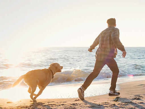 Hombre y perro corriendo en la playa