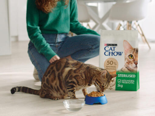 Gato comiendo pienso PURINA® CAT CHOW®