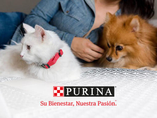 Comunidad Purina