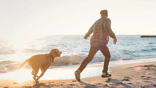 Hombre y perro corriendo en la playa