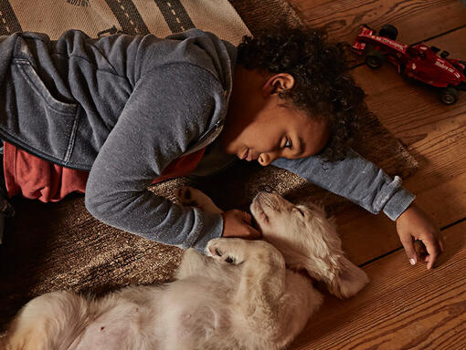 Niño tumbado con cachorro Golden Retriever