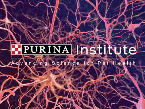 Logotipo del instituto purina